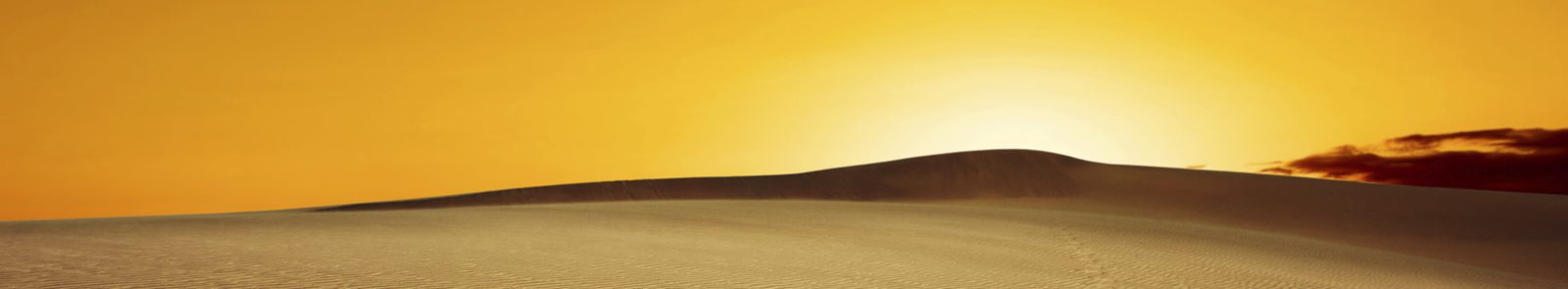 Sargent & Lundy Chairs Workshops at Desert Energy Leadership Summit 2015