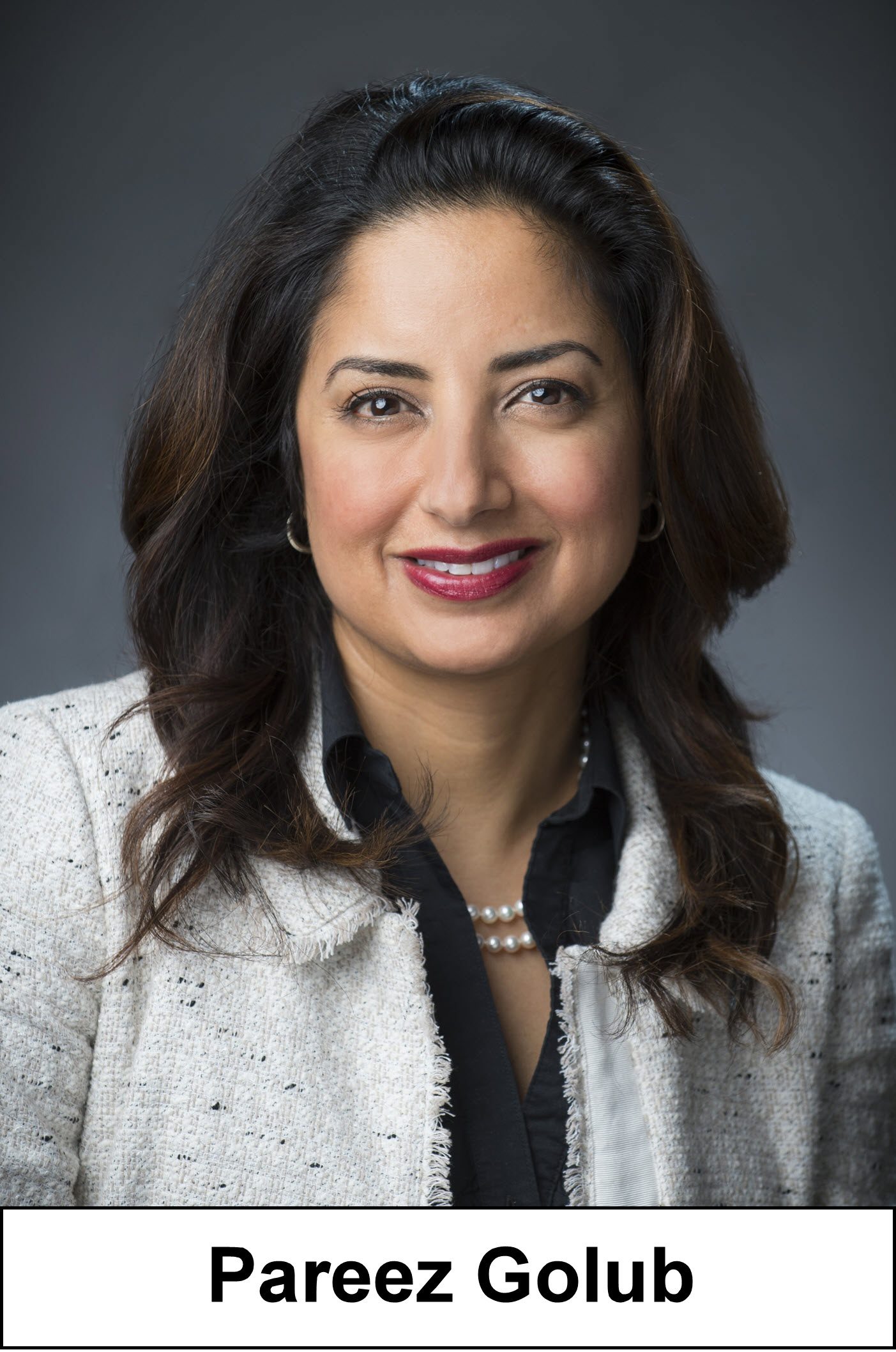 Sargent & Lundy Pareez Golub