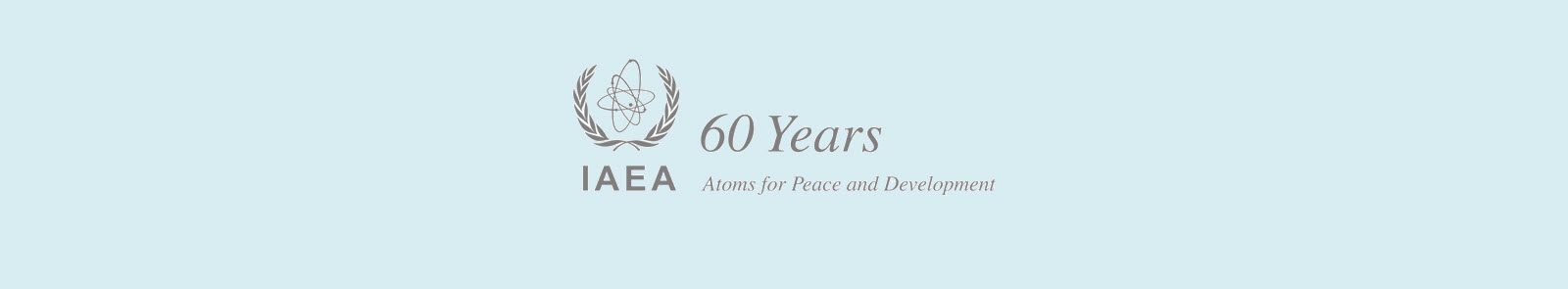 Sargent & Lundy’s James McIntyre Presents at International Atomic Energy Agency Technical Meeting in Vienna