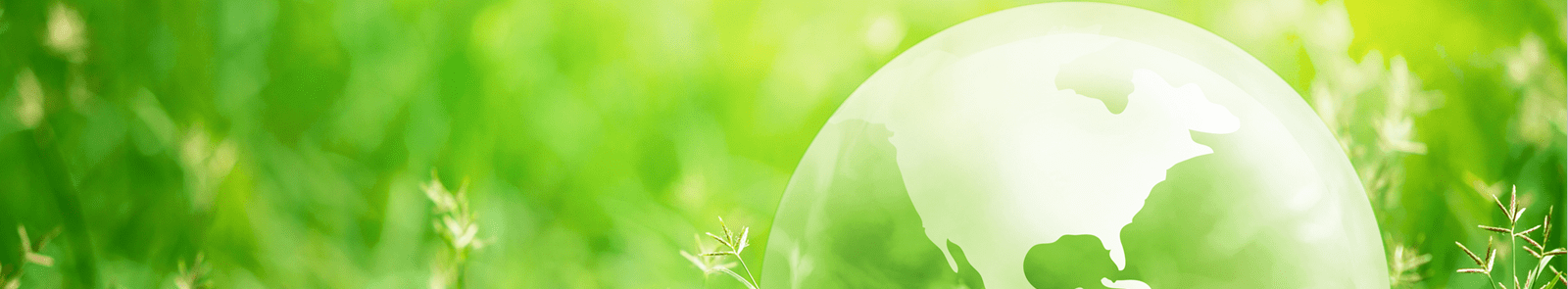 Sustainability Banner