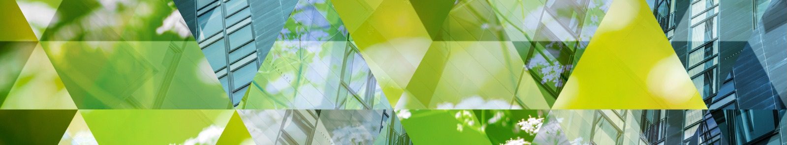 Sustainability I Sargent & Lundy
